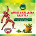 AMRIT BHALLATAK RASAYAN 250 GM.